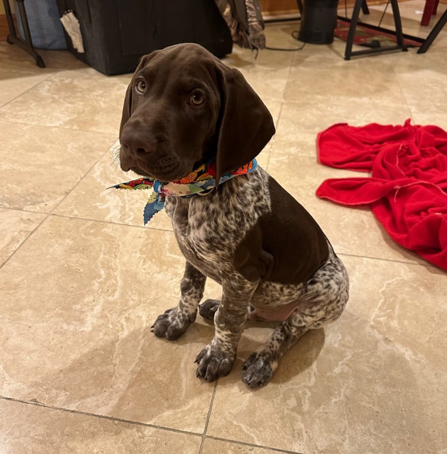 Gunner (2)