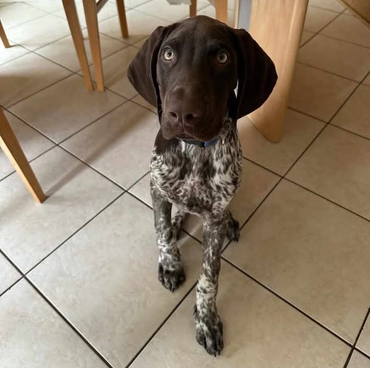 Gunner
