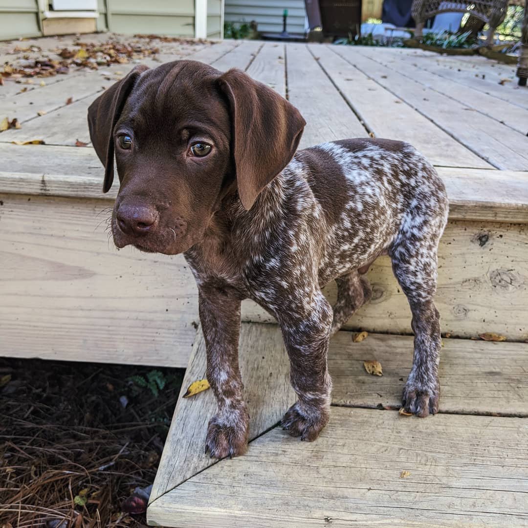 jake (7)